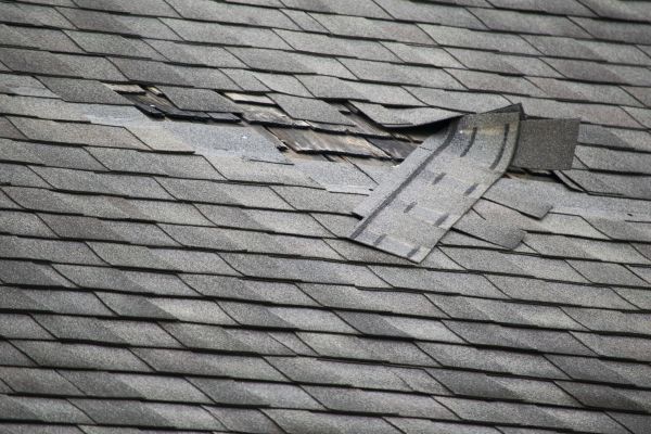 Roof Hole Repair in Westfield