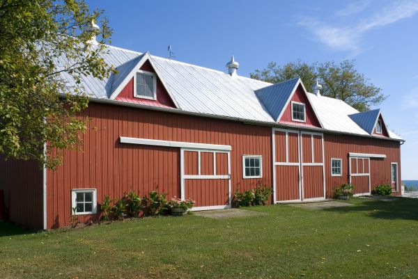 Barn Roof Replacement in Westfield