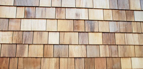 Shake Roof Replacement in Westfield