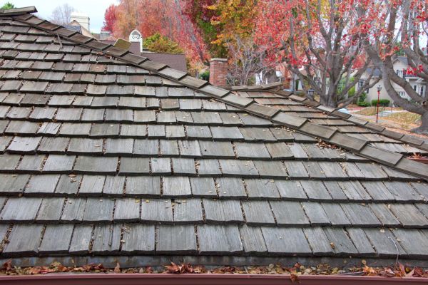 Wood Shingle Roof Installation in Westfield