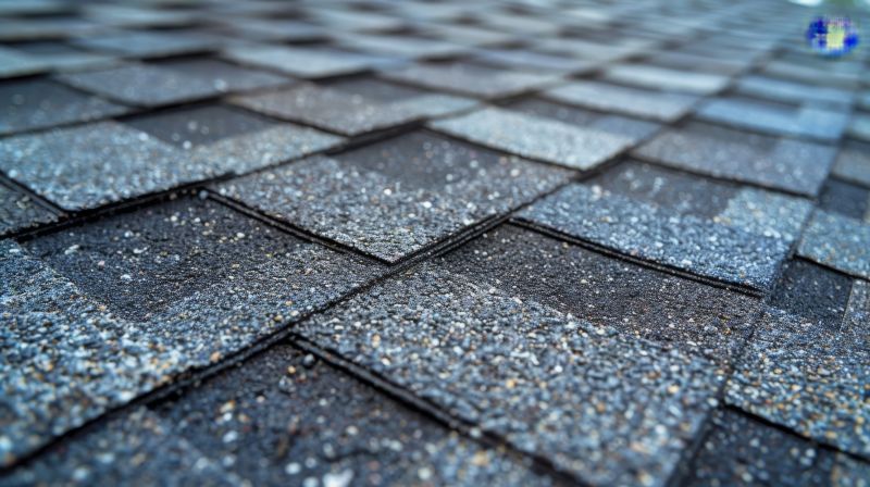 What To Expect During A Professional Asphalt Shingle Roof Repair